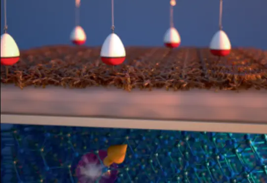 Quantum Bio-Detection